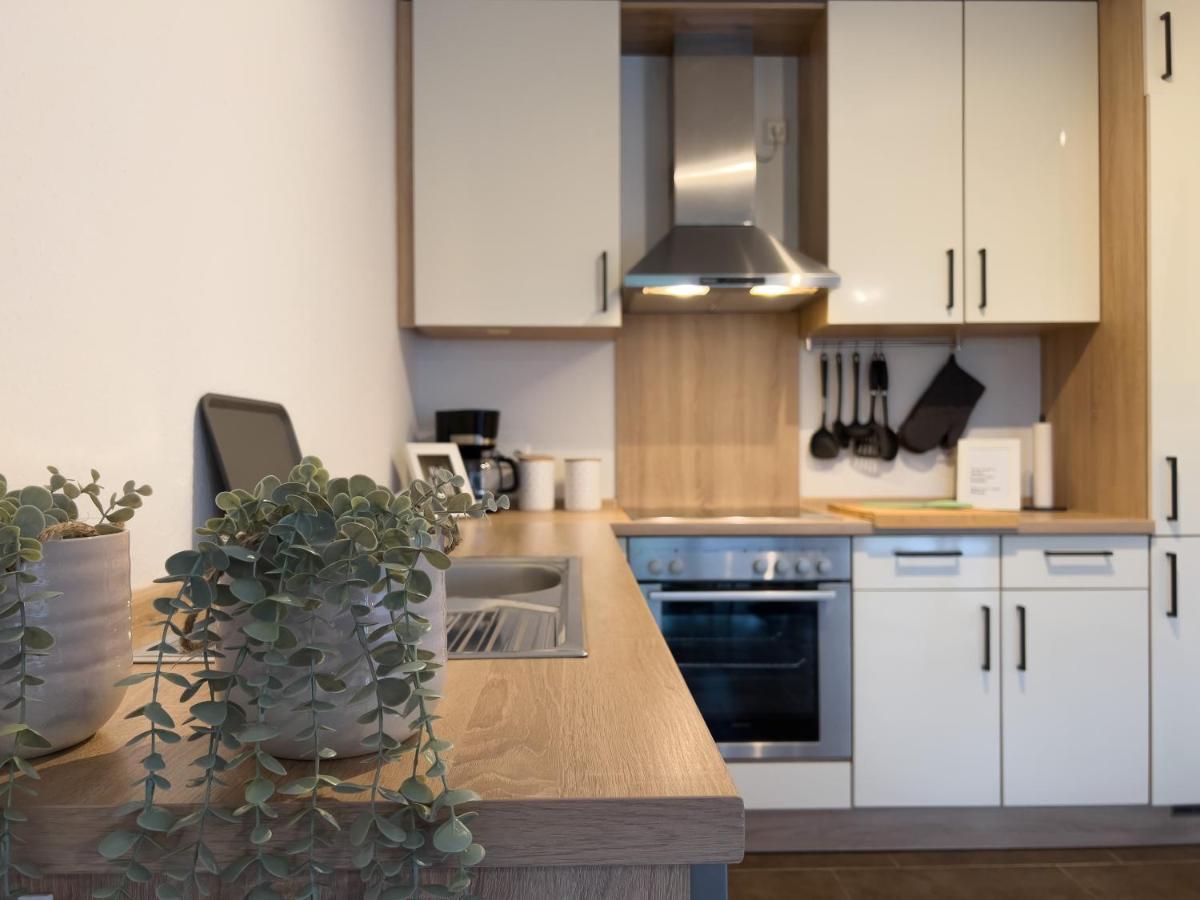 Zentral. Stylisch. Toni House Mit Viel Platz! Villa Lingen Eksteriør billede